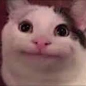 Meet your Posher, Caleb